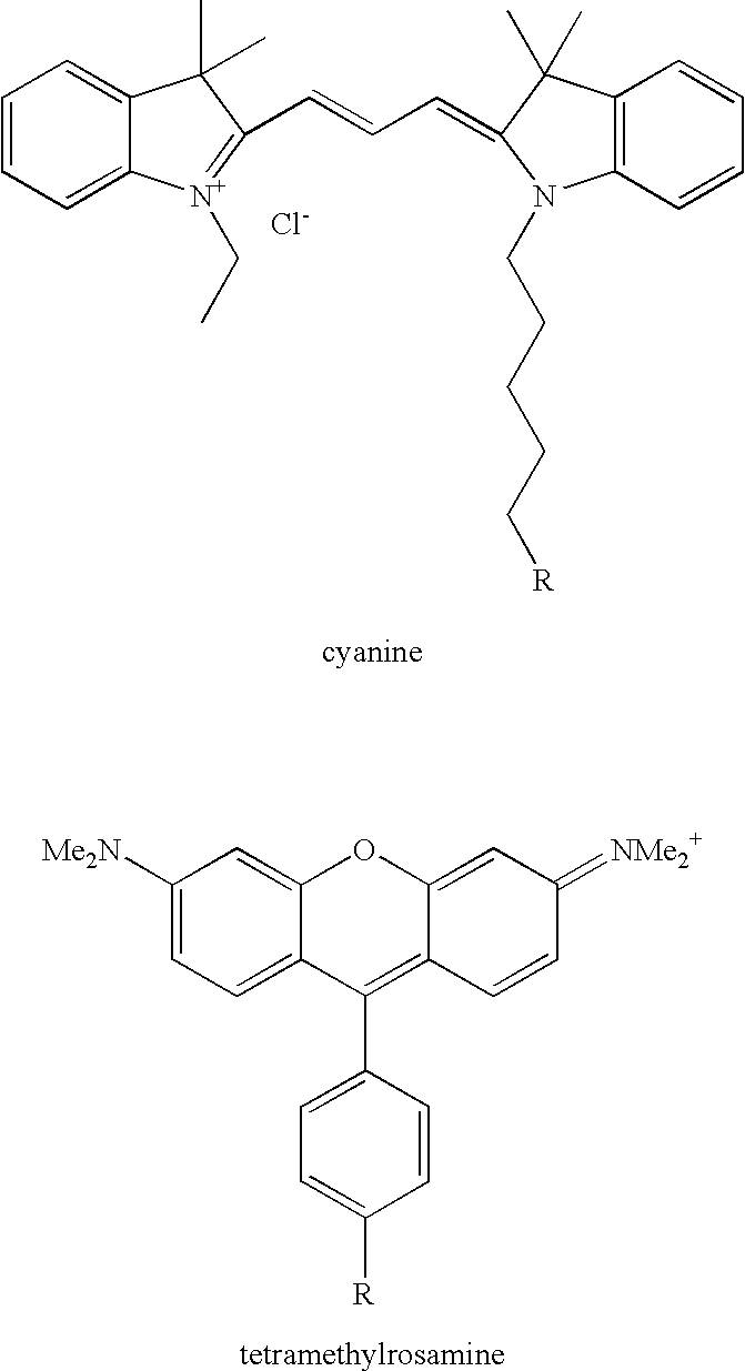 Figure US20050272053A1-20051208-C00002