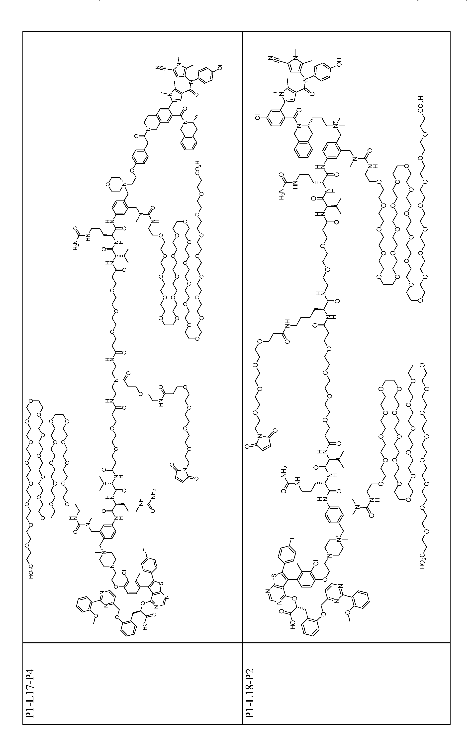 Figure imgf000146_0001
