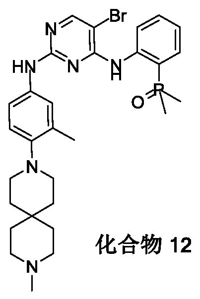 Figure PCTCN2017115577-appb-000087