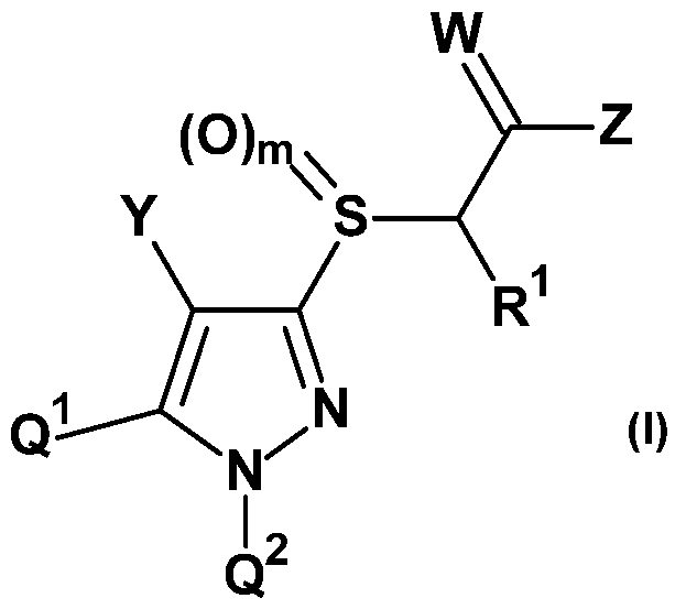 Figure imgf000003_0001