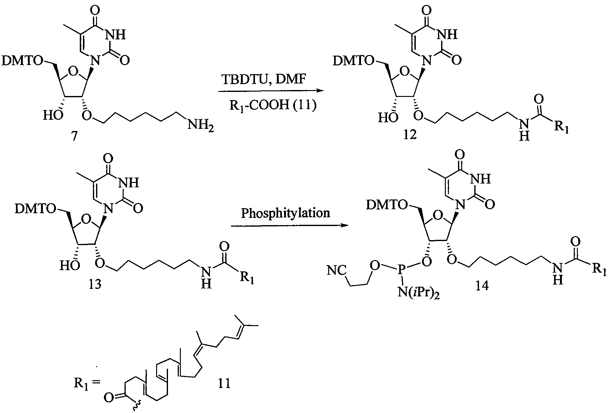 Figure imgf000146_0001
