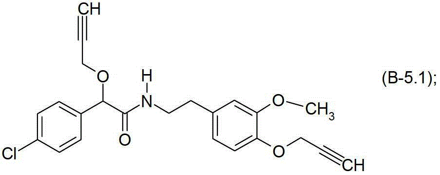 Figure BDA00001852466300031