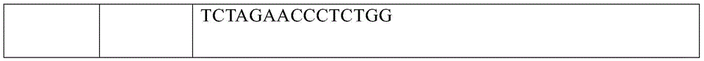 Figure BDA0002550795540000741