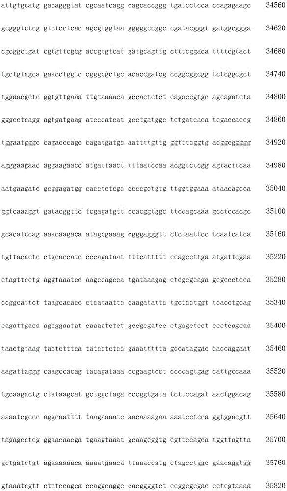 Figure IDA0002872168960001301