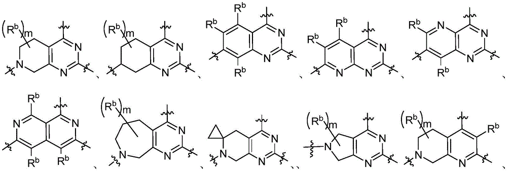 Figure BDA0003616036730000177
