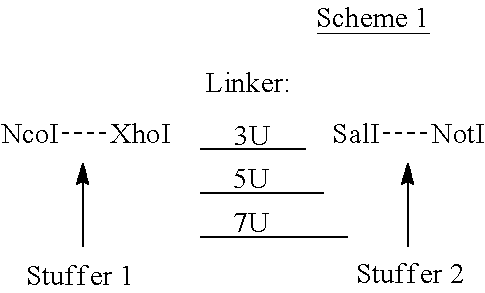 Figure US20130216538A1-20130822-C00003