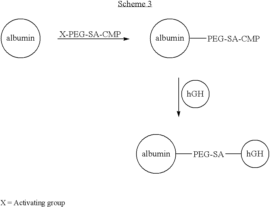 Figure US20070154992A1-20070705-C00025