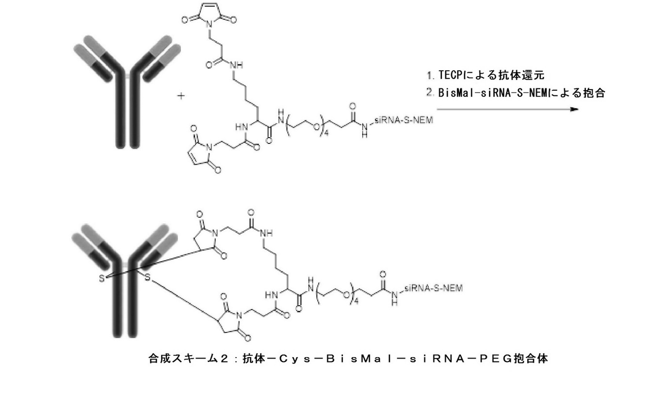 Figure 2023011614000028