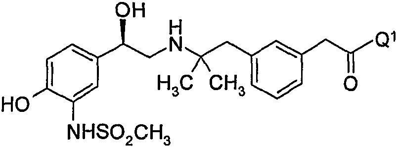 Figure 112008003947162-PCT00029