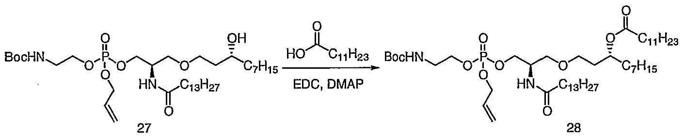 Figure imgf000023_0001