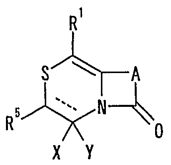 Figure imgf000239_0001