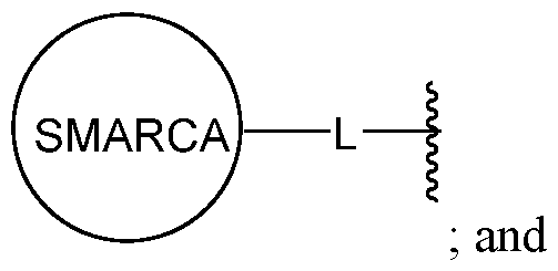Figure imgf000027_0002