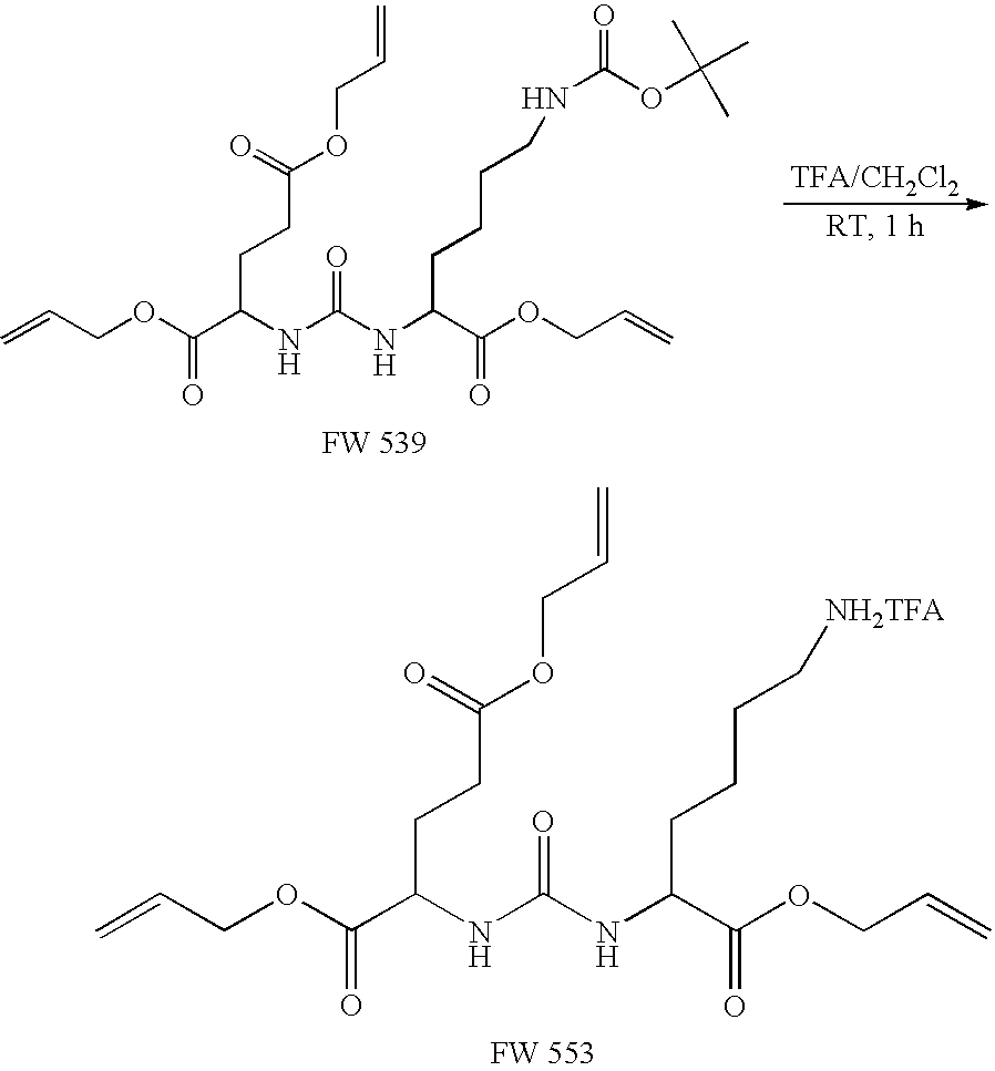 Figure US20090061010A1-20090305-C00016