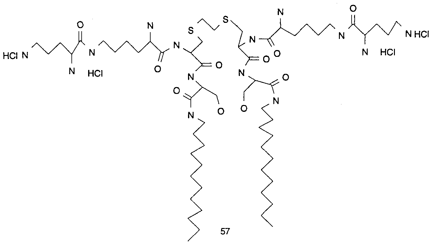 Figure imgf000036_0001
