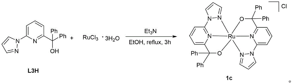 Figure FDA0002739835350000021