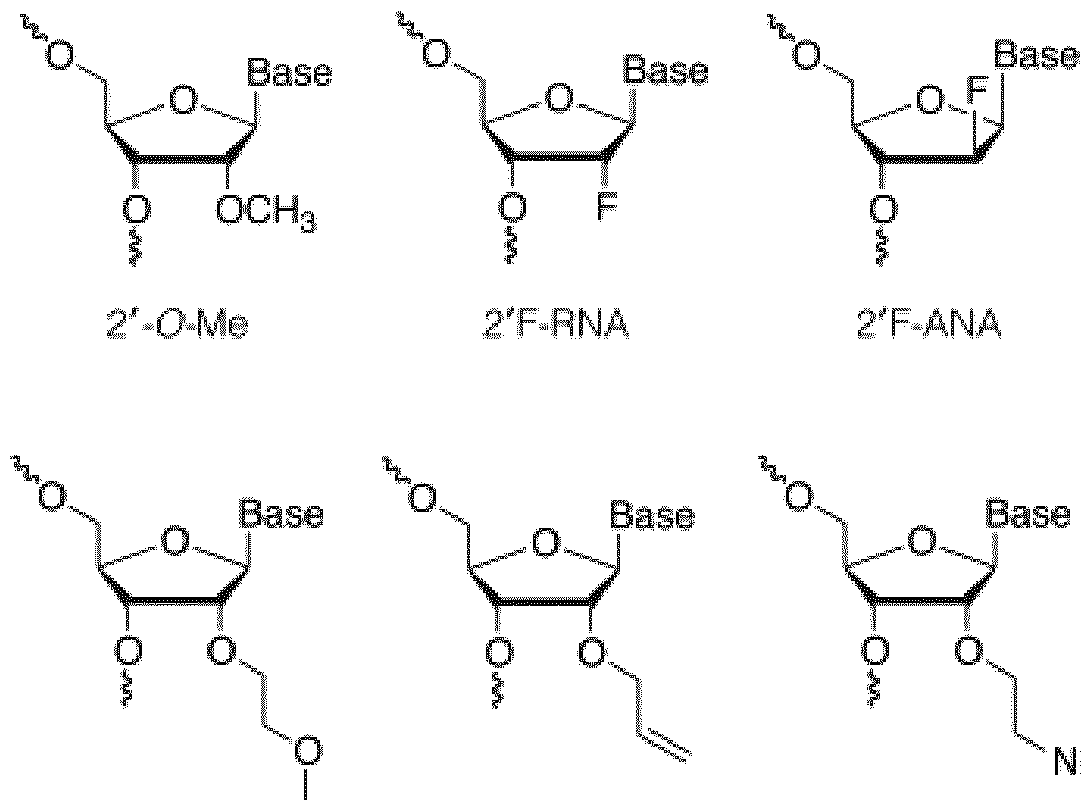 Figure imgf000016_0001