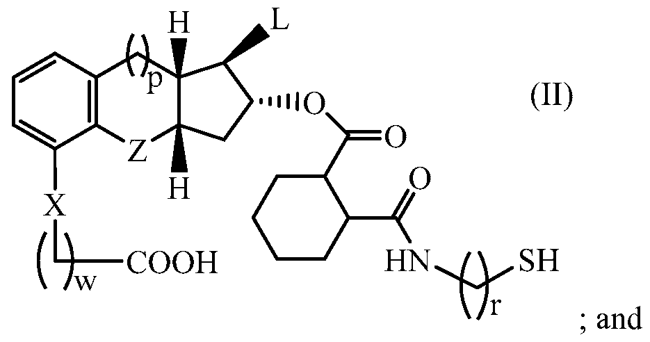 Figure imgf000008_0002