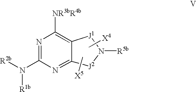 Figure US20030092908A1-20030515-C00009