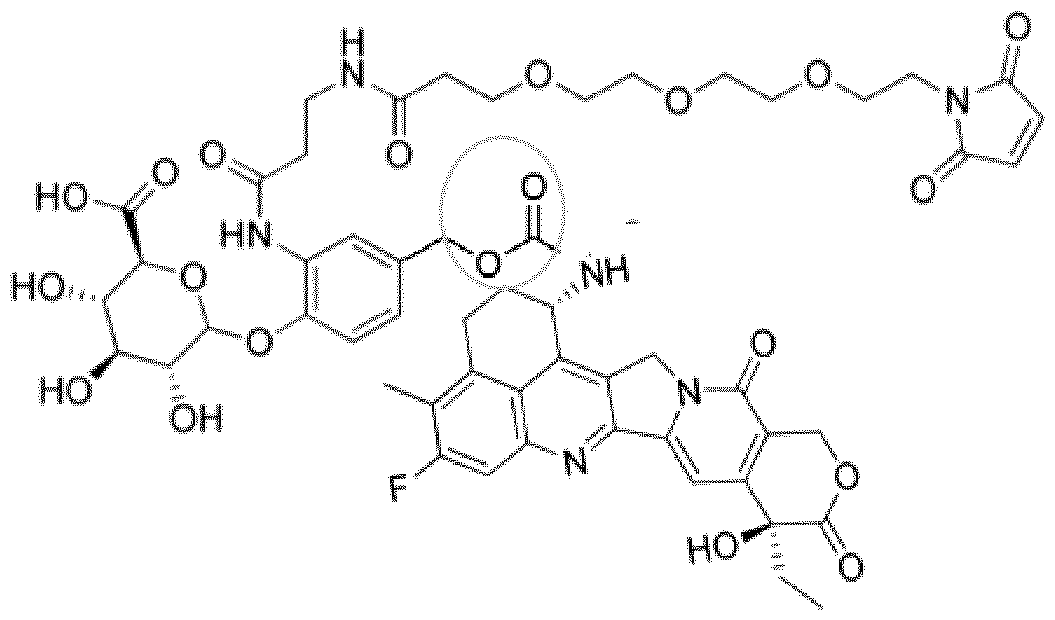 Figure imgf000115_0003