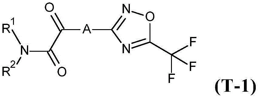 Figure BDA0002867242820000761