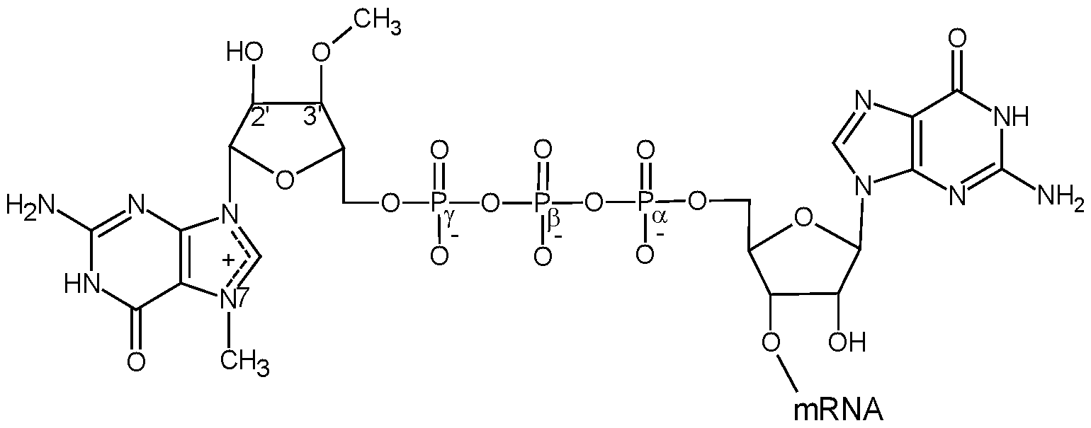 Figure imgf000029_0003