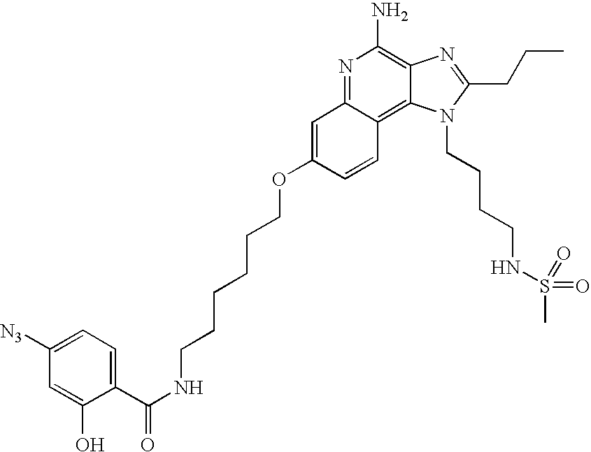 Figure US20060142202A1-20060629-C00009
