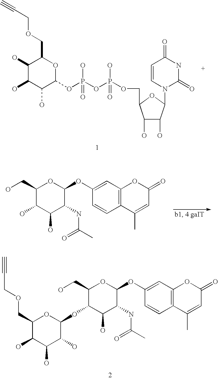 Figure US20080108557A1-20080508-C00089