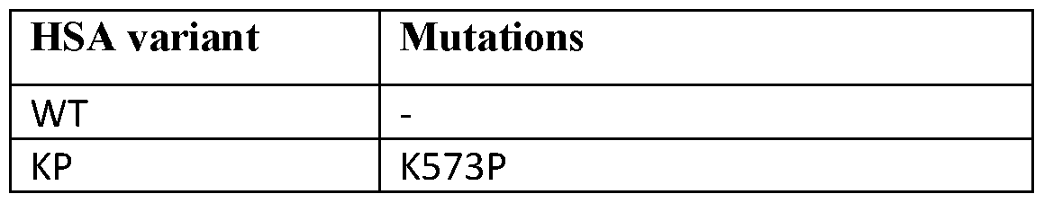 Figure imgf000038_0001