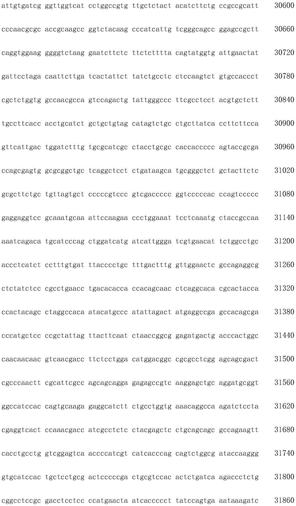 Figure IDA0002872168960001271