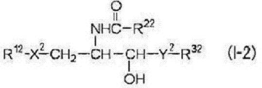 Figure JPOXMLDOC01-appb-C000007