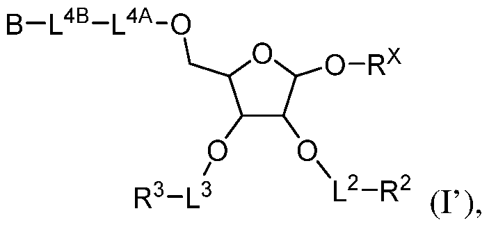 Figure imgf000062_0002