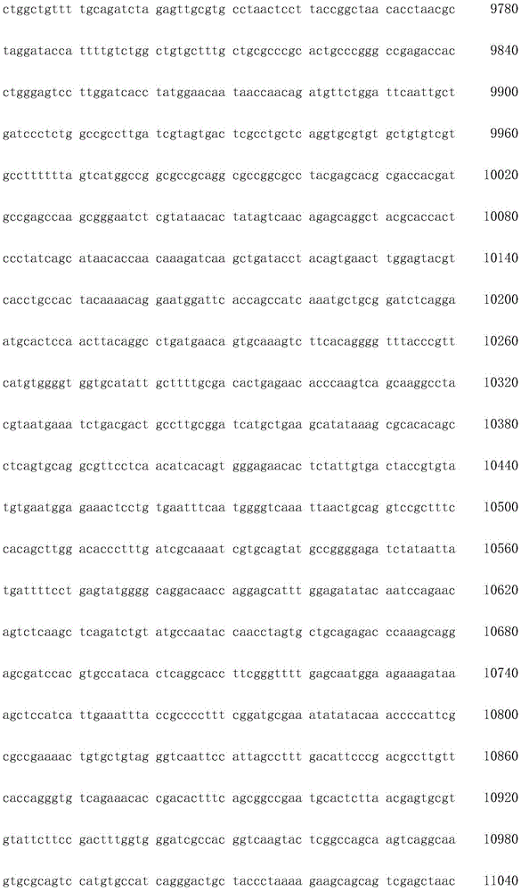 Figure IDA0002872168960000611