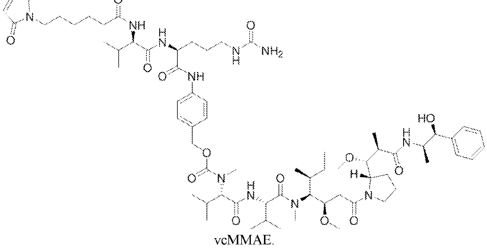 Figure imgf000005_0001
