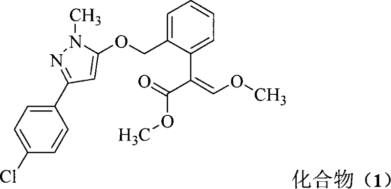 Figure S2007101756285D00032