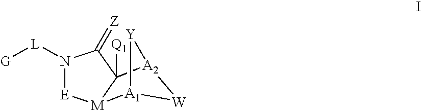 Figure US20060020002A1-20060126-C00074