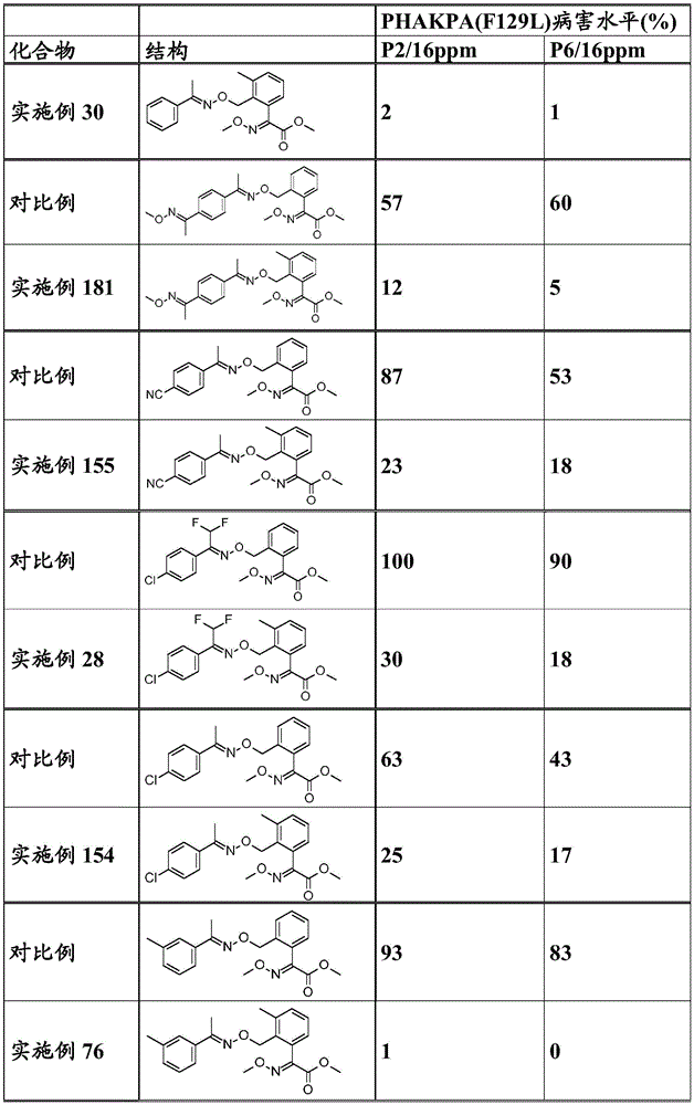 Figure BDA0003914530940001351