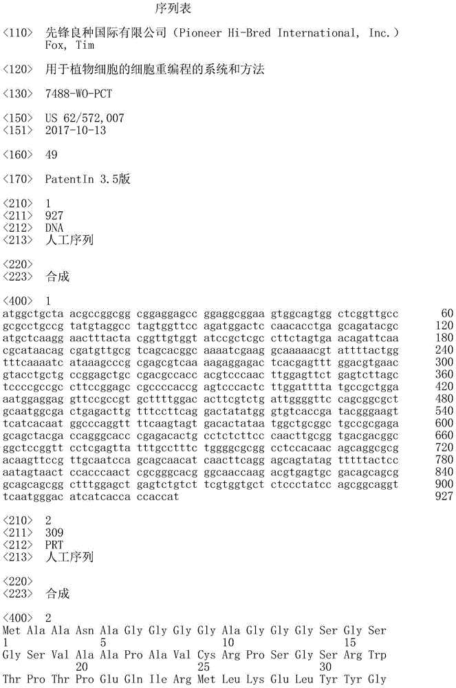 Figure IDA0002532806220000011