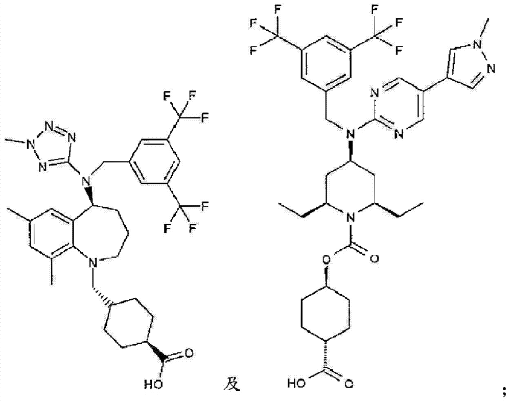 Figure BDA0000454631230000401