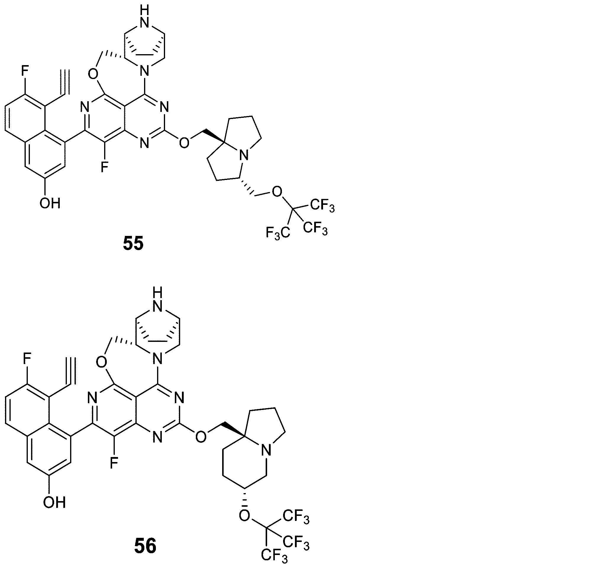 Figure 2025513258000718
