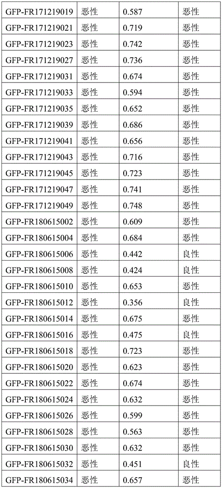 Figure BDA0003401061840000441