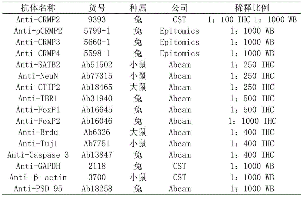 Figure BDA0000383635980000113