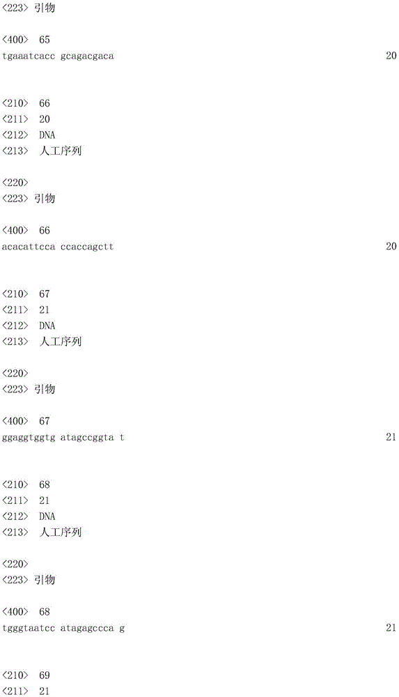 Figure IDA0001110955190000191