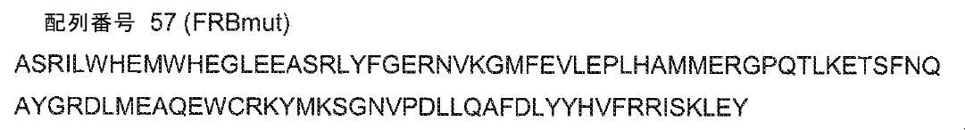 Figure 0007132249000022