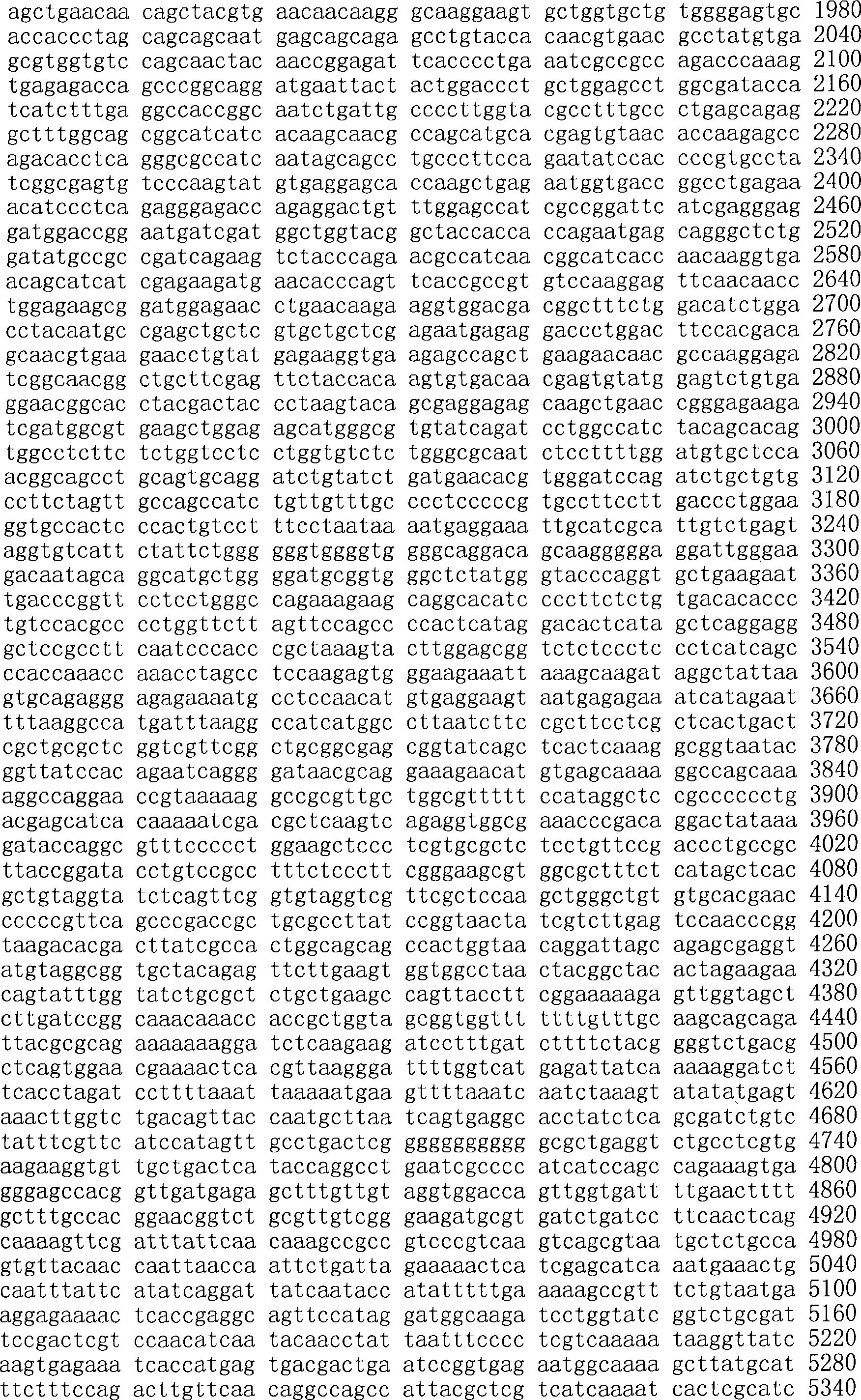 Figure A200780009494D01861