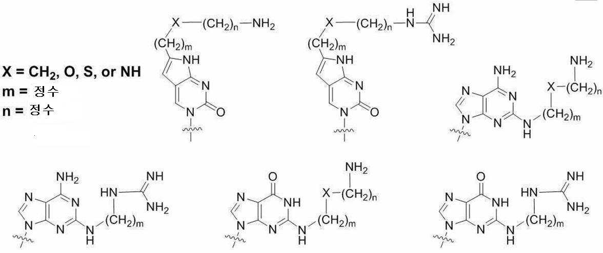 Figure 112018080548749-pat00009