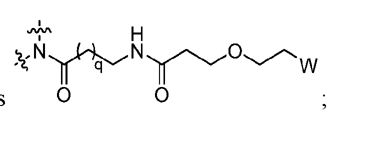 Figure imgf000018_0002