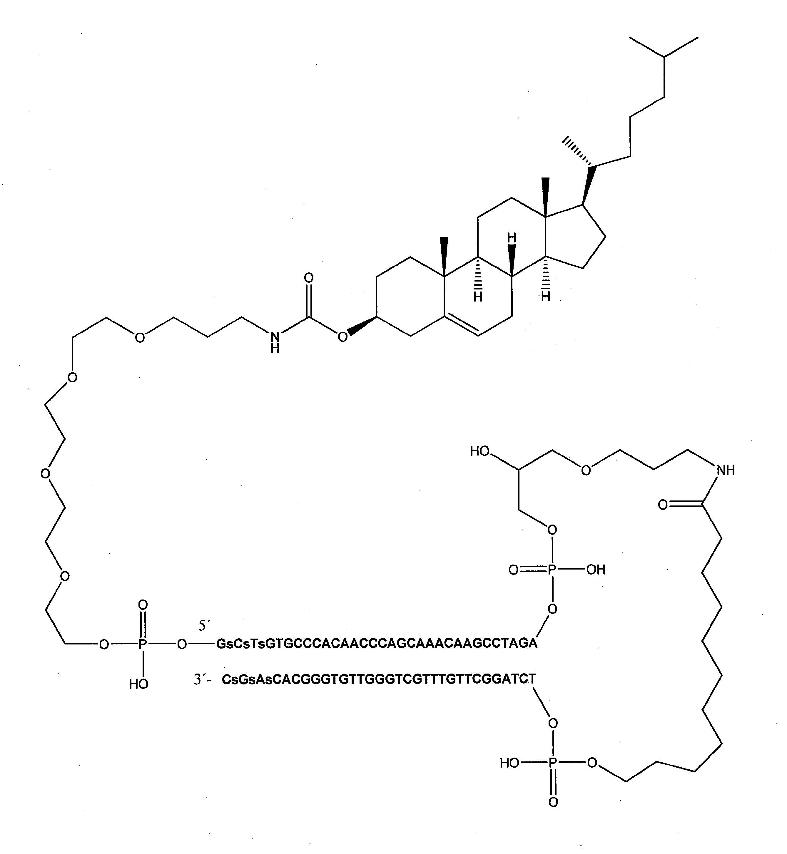 Figure 2022526713000015
