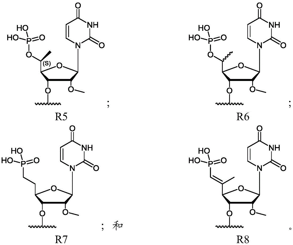 Figure BDA0002331279140000031