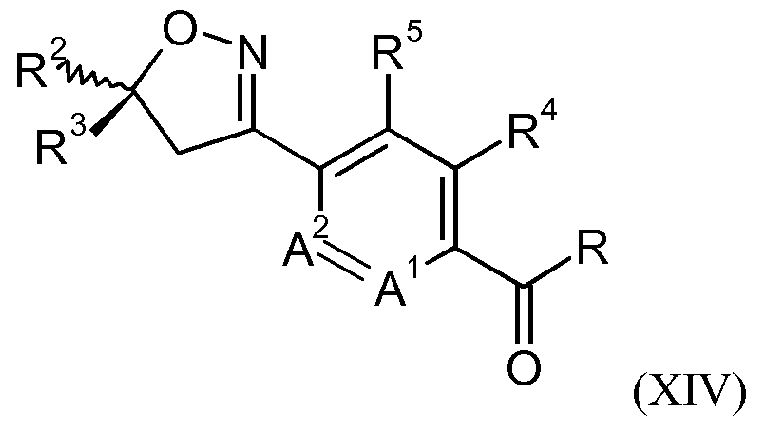 Figure imgf000023_0003