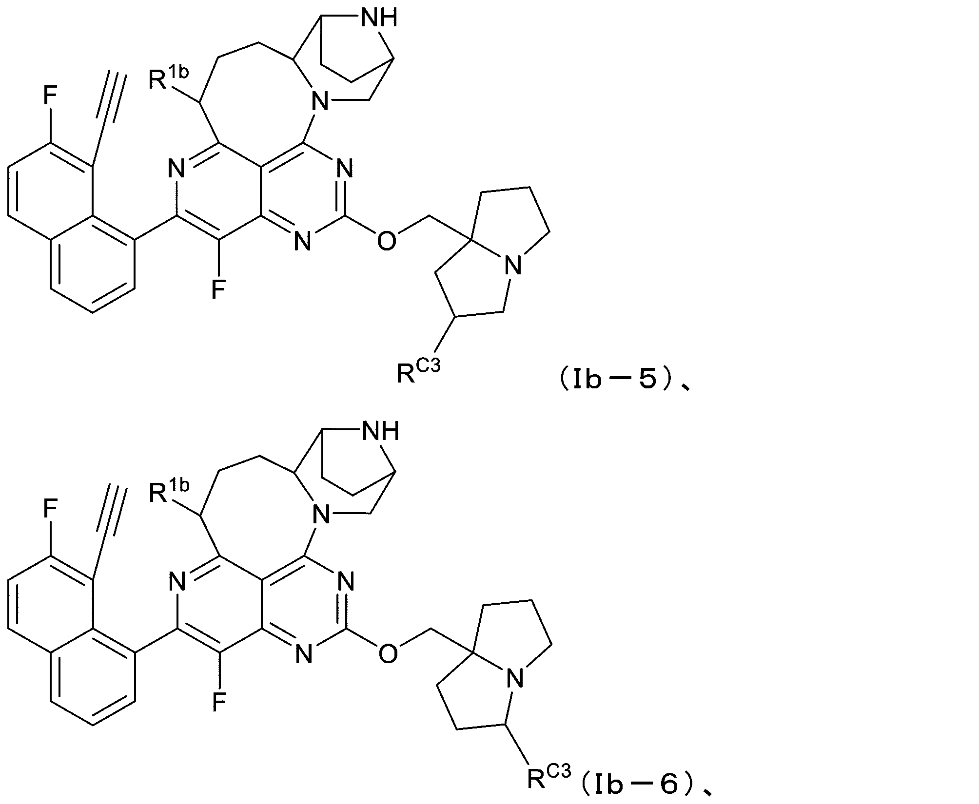 Figure 2025513258000070